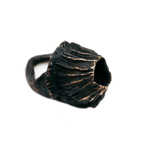 The capsule ring - oxidized Bronze